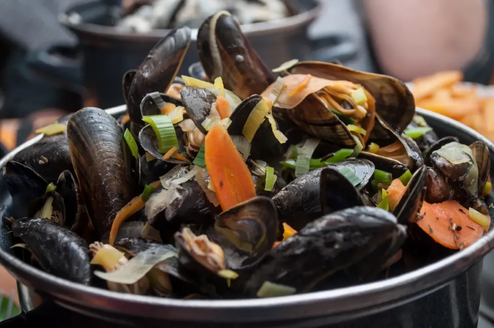 Moules de bouchot à Paimpol 